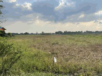 For Sale ขายที่ดินแปลงสวย 14-3-8 ไร่ สีม่วง อ.ลาดหลุมแก้ว